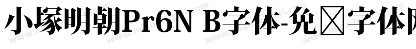 小塚明朝Pr6N B字体字体转换